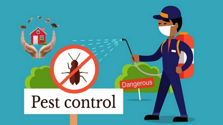 Battling Late-Summer Pests Before They Move Indoors